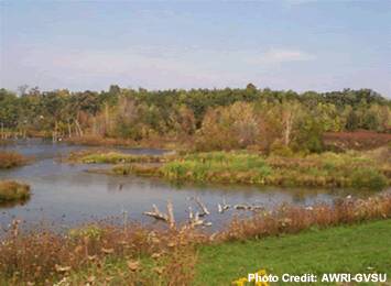 A scenic fall view of a waterbody with winding shorelines covered in grasses and herbaceous plants; a forest is seen in the distance.